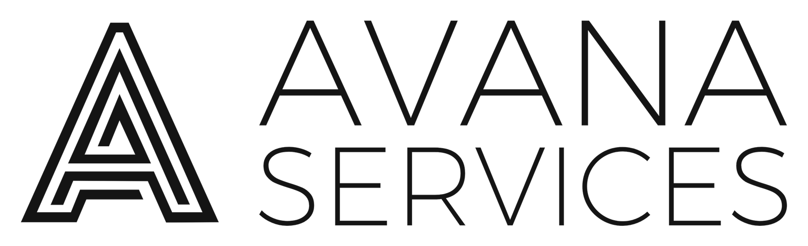 AVANA Services Group